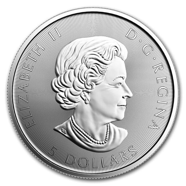 Royal Canadian Mint Mince : 2017 1 oz $ 5 Kanadské stříbro 150. výročí Voyageur BU - Image 2