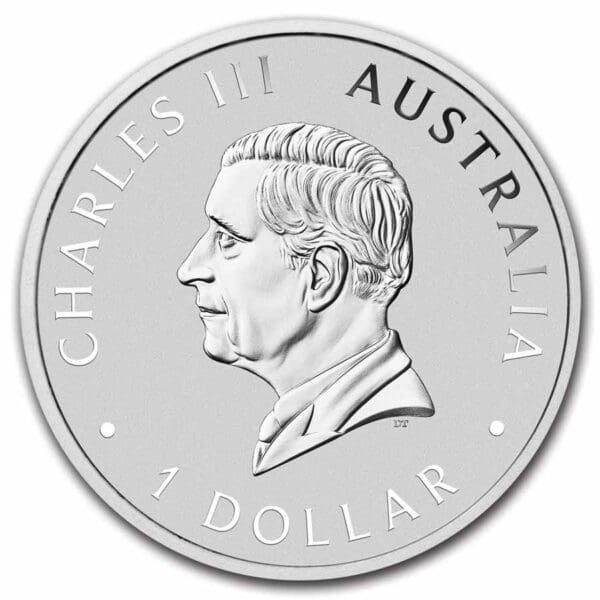 Australian Wombat BU 1 Oz 2024 - Image 2